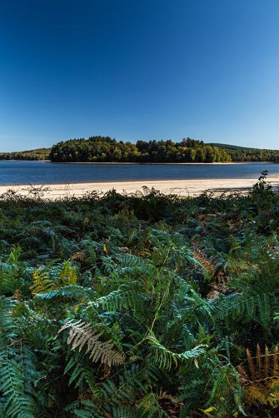 2018_10_13_lac des Settons (0025).jpg - Lac des Settons (octobre 2018)